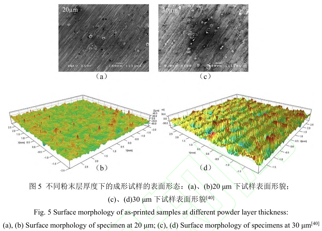 1692107210519203.jpg 6.jpg